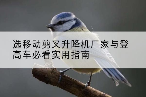 屯溪电动升降机厂家-选移动剪叉升降机厂家与登高车必看实用指南