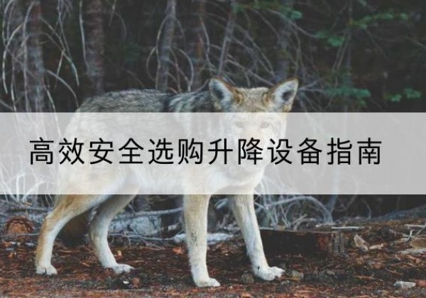 屯溪升降货梯厂家推荐-*安全选购升降设备指南