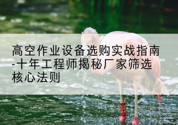 屯溪剪叉式升降机厂家-高空作业设备选购实战指南-十年工程师揭秘厂家筛选核心法则